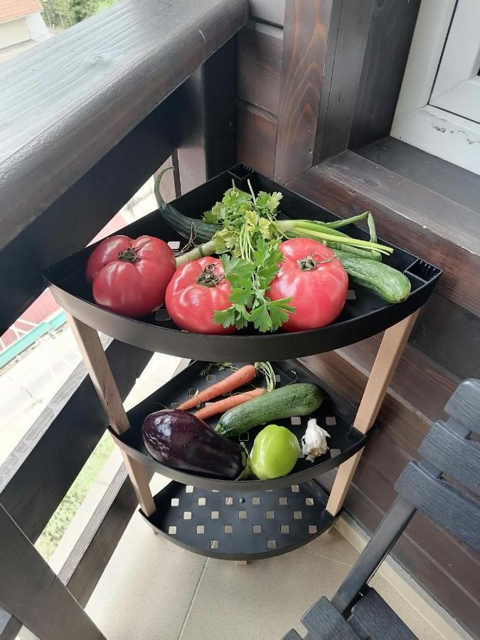 Apartment 15 Боровец Екстериор снимка